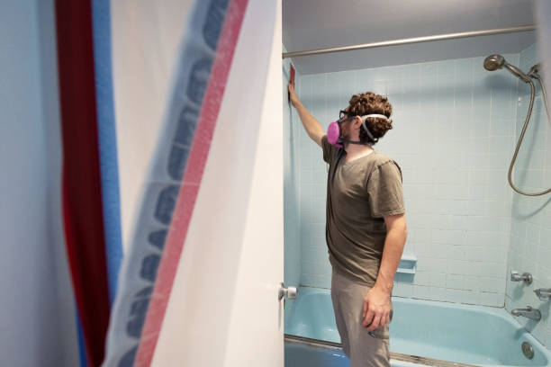 Best Comprehensive Air Testing for Mold Contaminants  in Russellville, AL