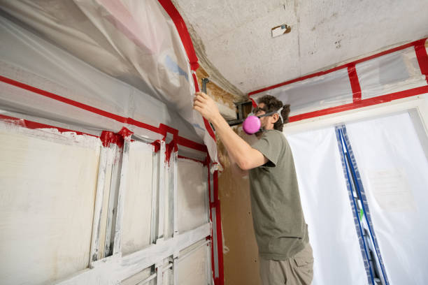 Best Crawl Space Mold Remediation  in Russellville, AL