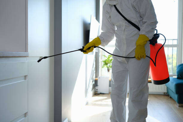 Forensic Mold Investigation in Russellville, AL
