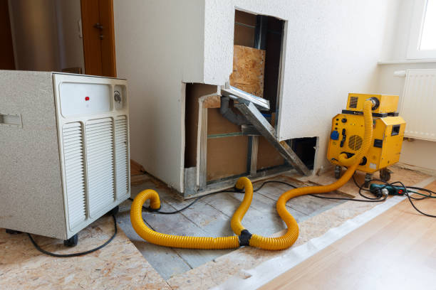 Best Mold Remediation for Healthcare Facilities  in Russellville, AL